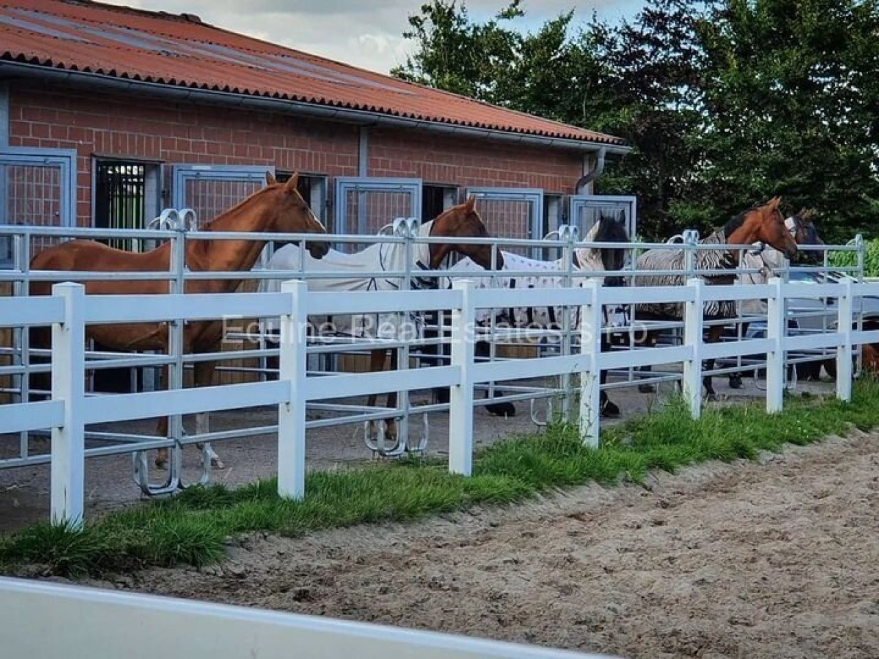 Ebkenhof-Paddocks Ebkenhof-Paddocks