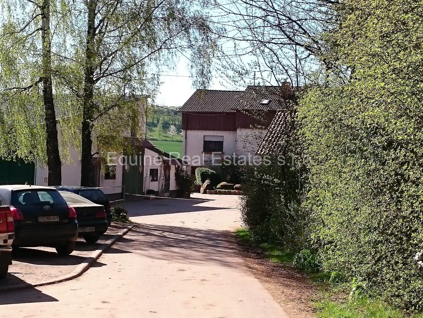 DSC 0060 DSC 0060