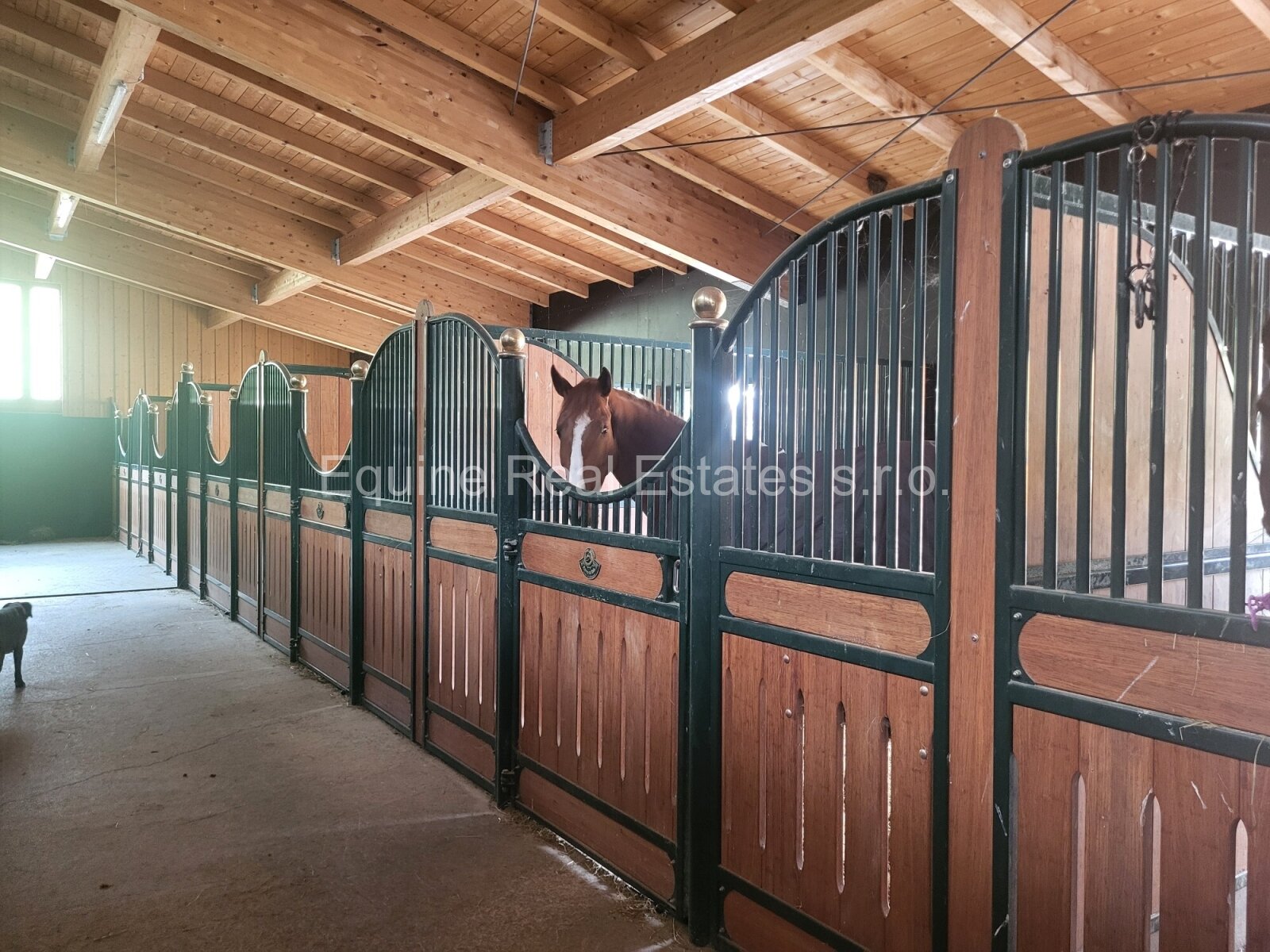 Gera: Reitanlage in Thüringen mit Top-Ausblick Gera: Reitanlage in Thüringen mit Top-Ausblick